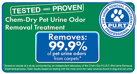 Pet urine removal by Chem-Dry of Nebraska technician in Lincoln, NE